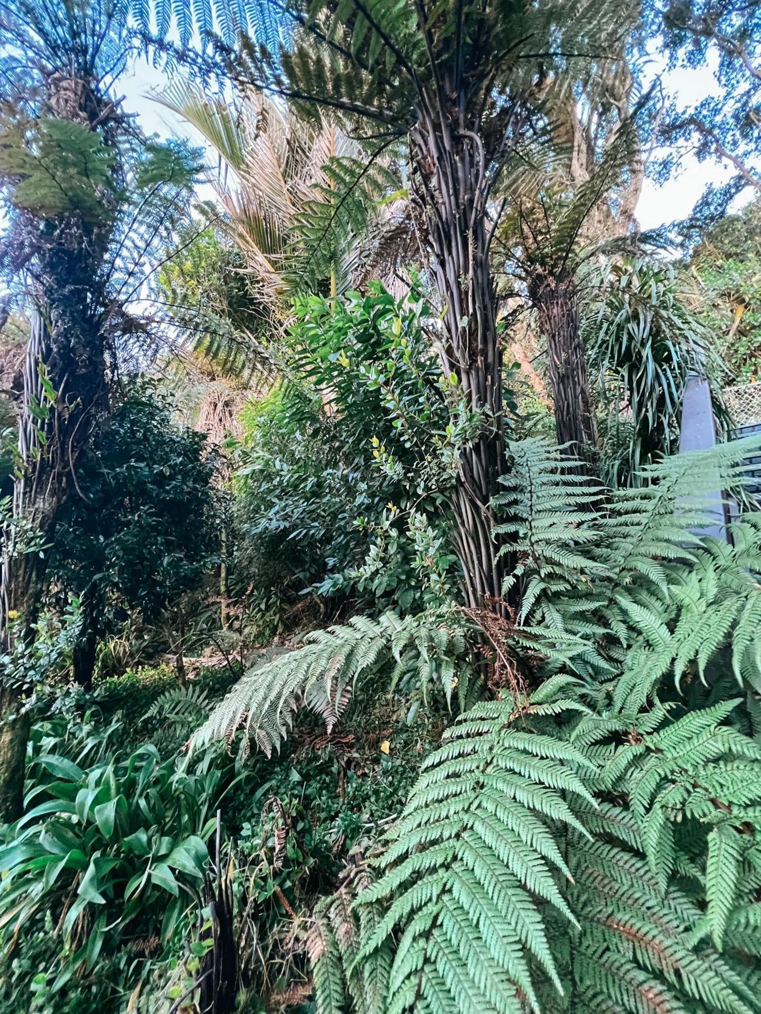 Evergreen Escape Hokitika Buitenkant foto
